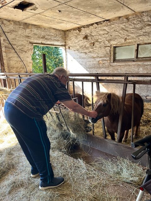 ein Bewohner streichelt ein kleines Pony