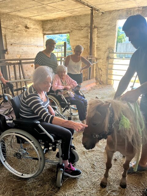 die Bewohnerinnen streicheln ein kleines Pony